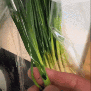 <b>波尔多液常用于蔬菜种植过程中防病</b>